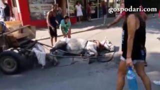 Роми мъчат кон в Красно село (ВИДЕО)