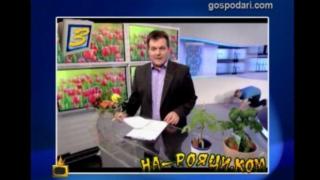 Хора се мятат по корем в ефир