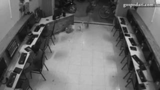 Злодей се опитва да ритне куче, но пада по гръб (ВИДЕО)