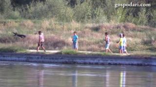 Деца се опитват да убият куче (ВИДЕО +18)