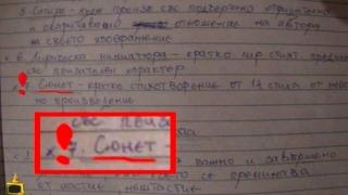 Ученик твърди, че сюнетът е стихотворение