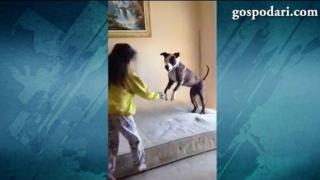 Деца учат куче да скача (ВИДЕО)