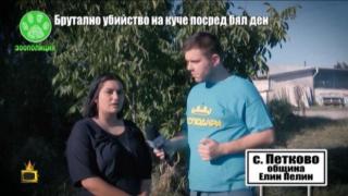 Брутално убийство на куче и самопризнания пред Господарите