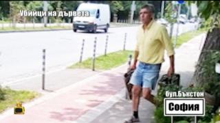 Поливат дървета с антифриз, за да ги убият