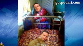 Зуека е най-добрият приятел на човека