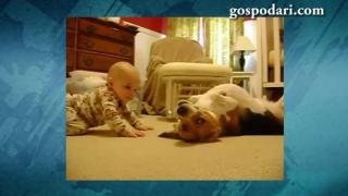 Куче и бебе се срещат за първи път (ВИДЕО)