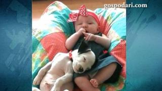 Бебе и куче мързелуват заедно (ВИДЕО)
