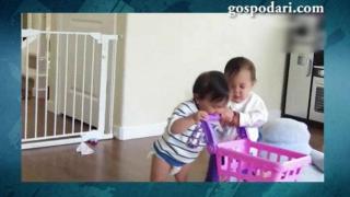Бебешката борба за играчка е забавна и жестока (ВИДЕО)