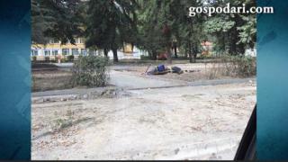 Работата върви най-добре по гръб