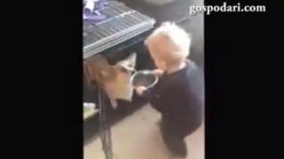 Малкият отменя мама и татко и храни любимците (ВИДЕО)
