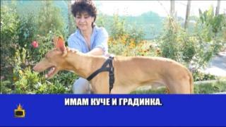 Господари на прованса: Кандидати за кметове и съветници