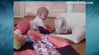 Куче се грижи за бебе като по-голям брат (ВИДЕО)