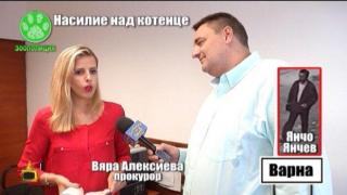 3 г. затвор грозят убиец на коте, разкрит в Господарите