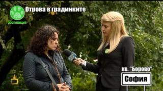 Тровят кучета в градинките, опасно е и за децата