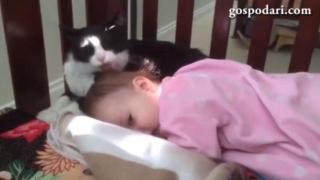 Котка ближе бебе по косата (ВИДЕО)
