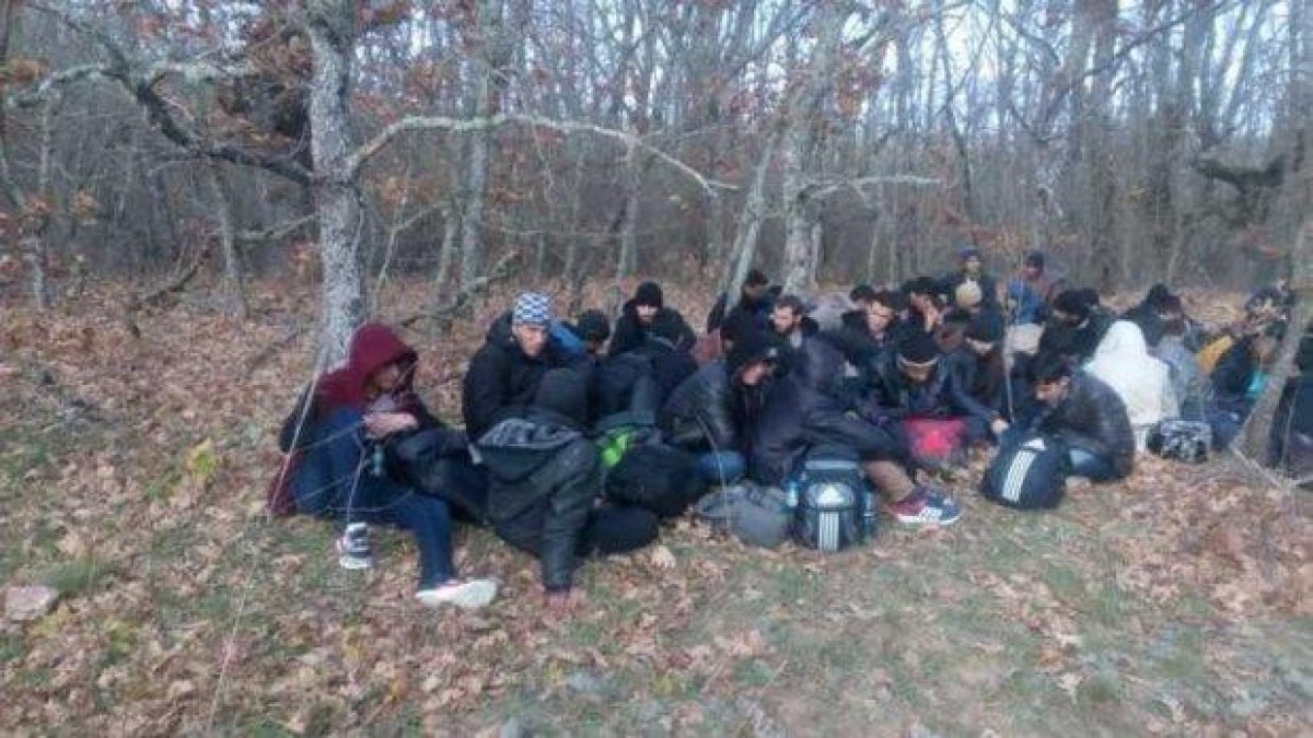 Кмет отиде на лов за глигани, но хвана нелегални имигранти