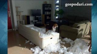 &quot;Не бях аз!&quot;