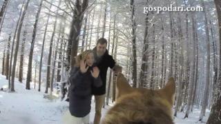 Куче снима сватбата на стопаните си