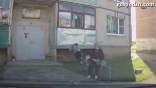 Стопанка в челен сблъсък с блок заради кучето си (ВИДЕО)