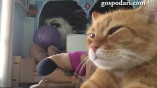 Най-арогантната котка на света проваля йога (ВИДЕО)