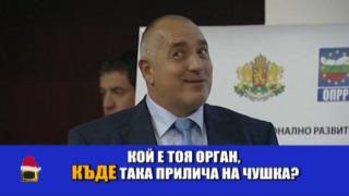 Анатомия на зеленчуците с премиера Бойко Борисов