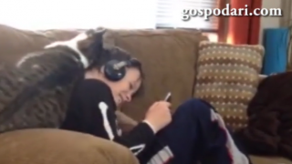 Една котка, която има нужда от малко любов (ВИДЕО)