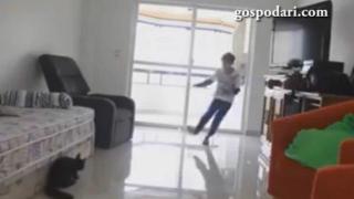 Най-добрата котка вратар