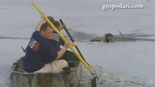 Мъже спасяват живота на куче, попаднало в ледени води (ВИДЕО)