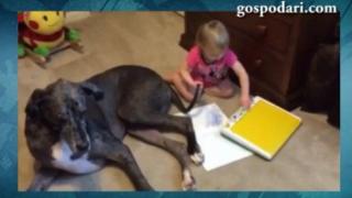 Детенце рисува с опашката на кучето си