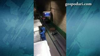 Ето как се отнасят с багажа на някои летища (ВИДЕО)