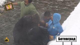 Гледам и не вярвам на ушите си: Отегчени, танцуващи и биещи се