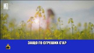 Правилното изражение и добрите връзки са най-важни за телевизиите