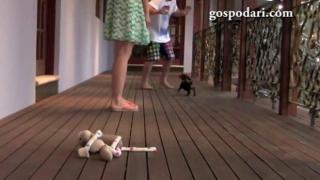 Размерът няма значение, когато трябва да защитиш приятел