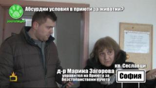Мизерията в кучешкия приют в Сеславци щяла да се оправи в следващия ни живот