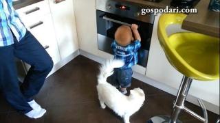 Котка не дава на бебе да си играе с печката (ВИДЕО)