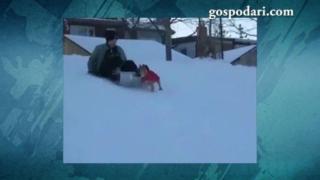 Куче краде шейна от дете и се забавлява (ВИДЕО)