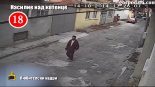 Затвор за убиец на коте, разкрит от Господари на ефира