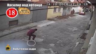 Господарите коментират първата ефективна присъда за насилие над животно у нас