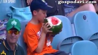 Гладник хапва динята с кората