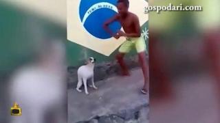Еволюцията превърна куче в самба танцьор