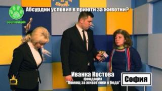 Кучетата в приютите масово не се лекуват, твърдят природозащитници