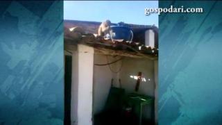 Въоръжена пияна маймуна вилнее в бар