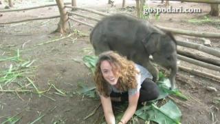 Обичливо слонче раздава прегръдки (ВИДЕО)