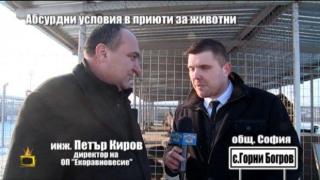 Господарите проверяват и кучешкия приют в Горни Богров