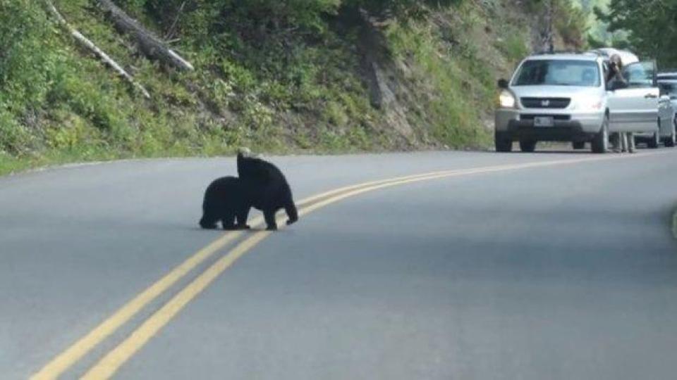 Мечета мерят сили на шосето