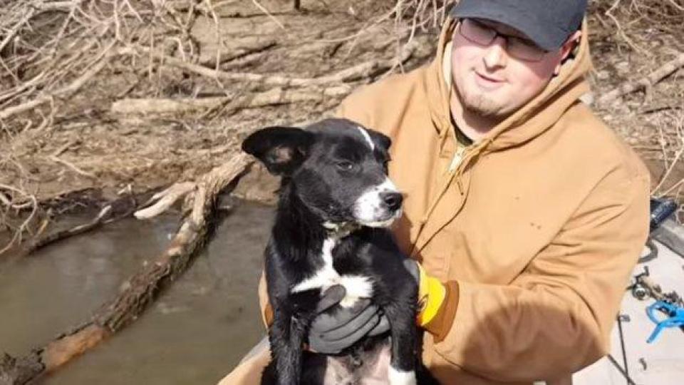 Да отидеш на риба и да се върнеш с домашен любимец