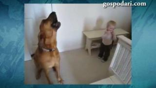 Куче и дете изнасят концерт (ВИДЕО)