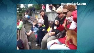 Как се става звезда от публиката?