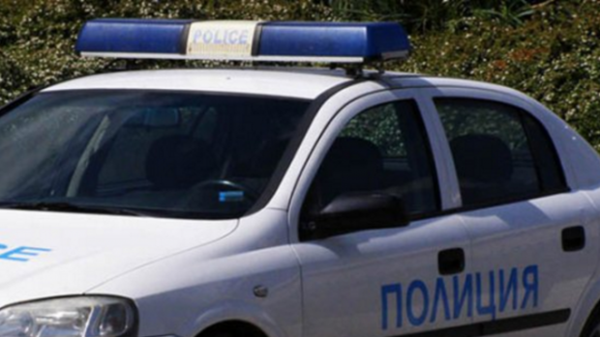 Полицейска акция осуети бой с кучета, но май ще осуети и работата на прокуратурата