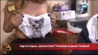 Конкурс "Мис Малко коте", водещ като танцуваща мечка, Ути и Гала като ямайци